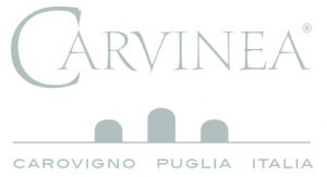 Wine Research Team: Carvinea