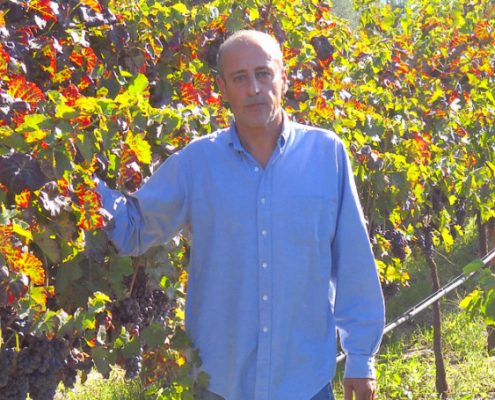 Wine Research Team: Di Majo Norante