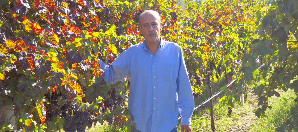 Wine Research Team: Di Majo Norante