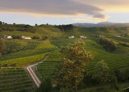 Wine Research Team: La Gioiosa