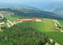 Wine Research Team: Monte Zovo