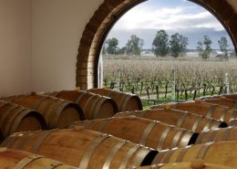 Wine Research Team: Villa Matilde